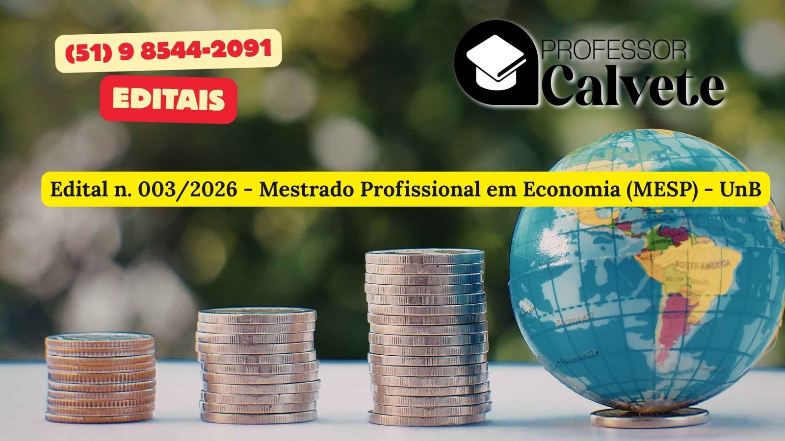 Edital n. 003/2026 - Mestrado Profissional em Economia (MESP) - UnB